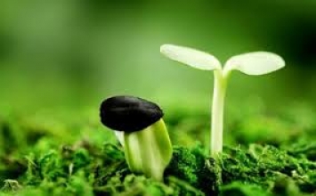 4 phương pháp định hướng cuộc đời